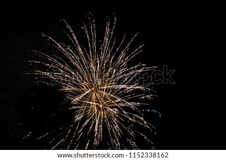 Diwali fireworks. festival ceremony of the Hindu religion. Firecrackers. multi colorful light trails against black dark sky. Silhouette of the trees.  smoke from fireworks. explosion of light. 