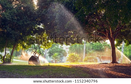 water sprinklers in the park