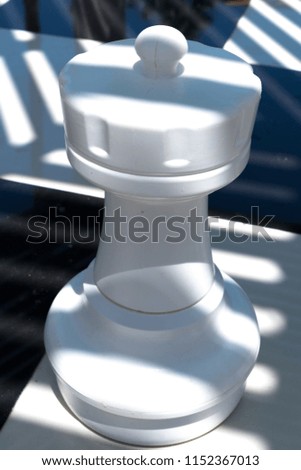 Chess piece queen in front of white and black background with clipping path