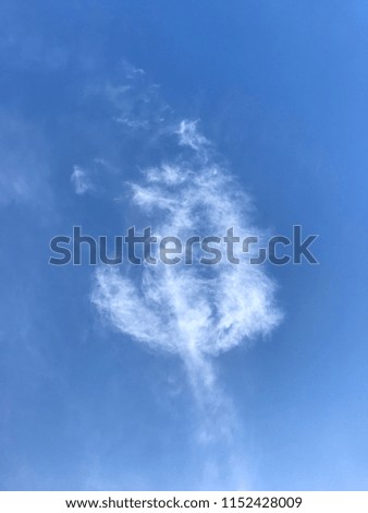 Angel in the sky