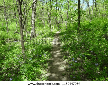 Dirt Hiking Trail in Wildlife Conservation Area in Springtime near Kansas City, Missouri