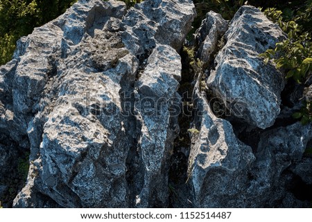 textured cleft in the rock
