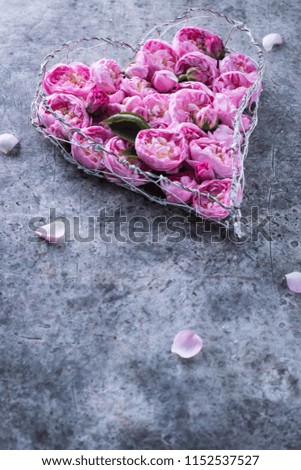 Heart Shaped Pink Rose Arrangement on a gray Background.