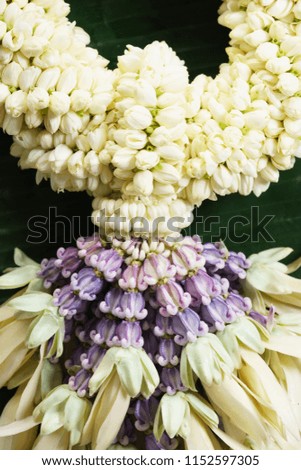 Jasmine garland decorated with purple crown flower and White Champak