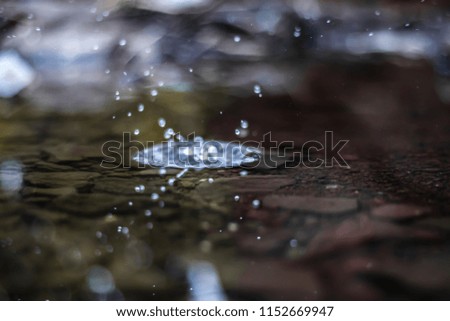 shot of water bouncing after pebble dropped in water
