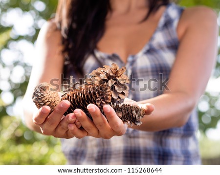Females hands offering a group of pine cones in nature