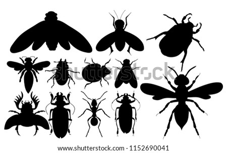 vector, isolated, set of insects, beetles, flies, silhouette
