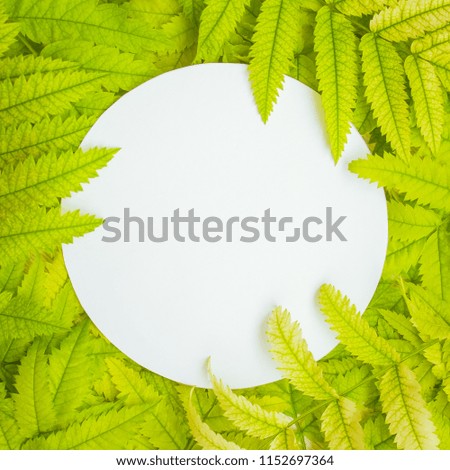 
Round sheet of paper against the background of autumn foliage