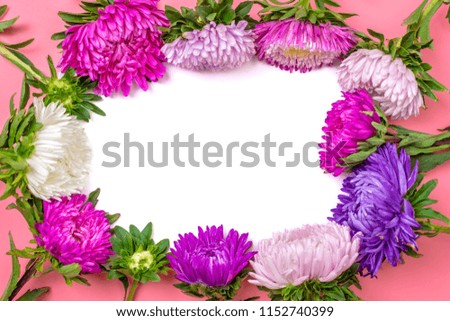 Beautiful Aster Flowers, notepad on pastel pink color background mock up with copy space for your text. Flat lay, top view Concept of spring, summer and autumn