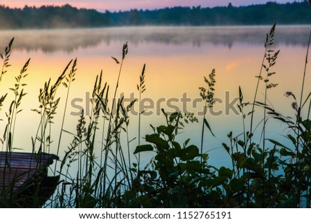 Pond bank in early morning sunrise illumination with mist, moody image.