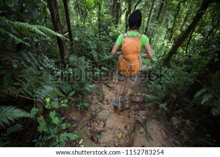 backpacking woman hiking on trail in rainforest