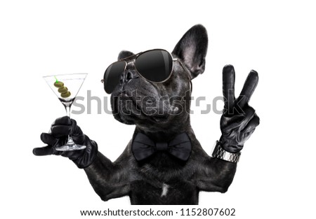 french bulldog dog with martini cocktail and victory or peace fingers wearing a retro wrist watch Royalty-Free Stock Photo #1152807602