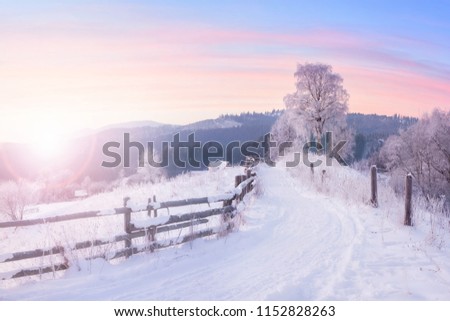 Beautiful winter nature landscape, amazing mountain view of sunset. Scenic image of snowy woodland. Frosty weather. Superb winter wallpapers.