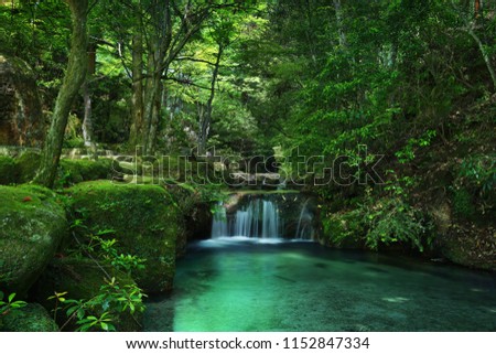 river cascade in a green forest with mossy rocks
