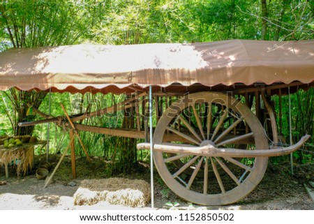 The bullock cart very big in the forest.