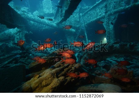 Lİfe in the SS Thistlegorm Royalty-Free Stock Photo #1152872069