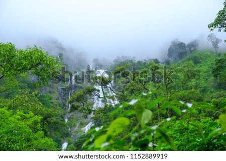 Green forest with waterfall in rain forest and fog on mountain