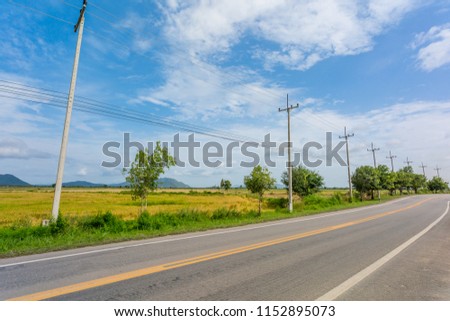 Country Road in Central Florida