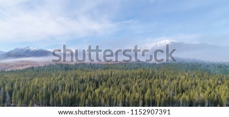Pine forest with a snow mountain behind and fog on the mountain, blue sky. Stunning shot mountain Aerial View at Lake Tekapo, New Zealand.
