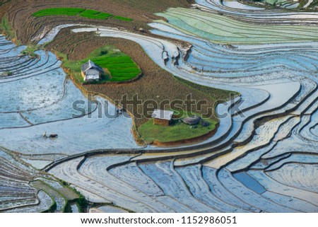 beautiful colors of rice terraces in Lao Cai province, Viet Nam.