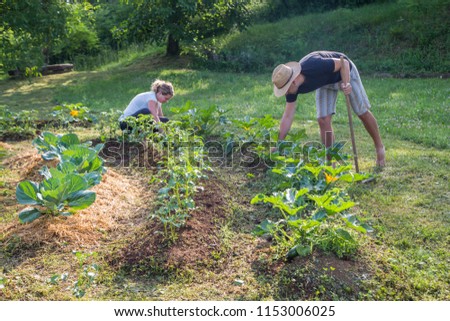 Young man and woman Working in a Home Grown Vegetable Garden Royalty-Free Stock Photo #1153006025