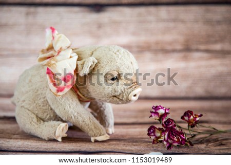 Pig with flowers on wooden background