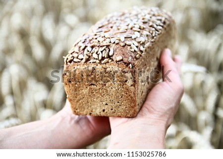 wheat bread with people wheat background stock photo