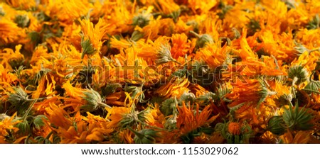 Dry flowers of calendula as a background. Medical plant Calendula officinalis, pot marigold.