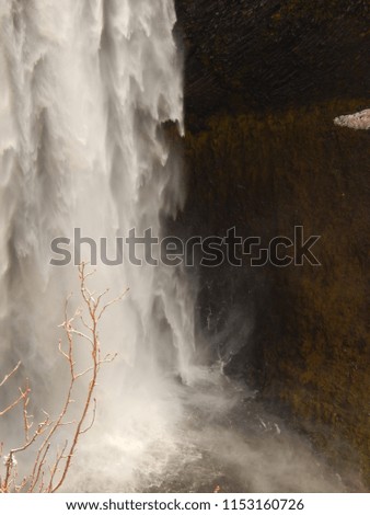 Deep Woods Waterfall