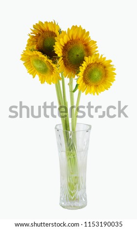   bunch of sunflower in the vase isolated on white background