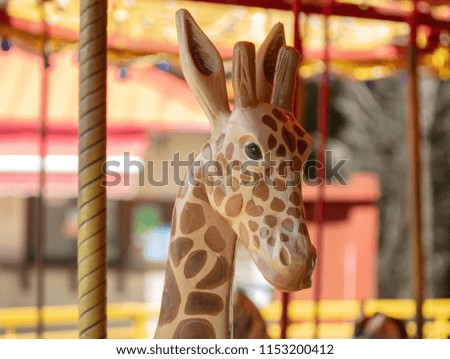 giraffe is looking at you