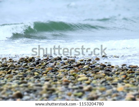 stones and shore