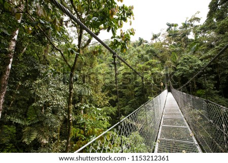 hanging bridges, la Fortuna, Costa Rica