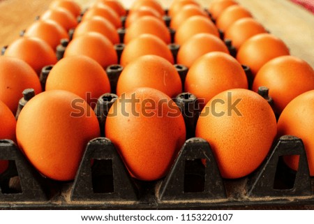 Eggs in a panel / egg is a popular food in the morning. Before going to work or studying.