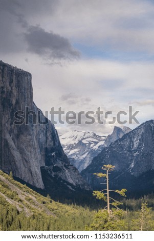 Perspective landscape of evergreen forest in valley among huge range of mountains with snowy peaks under clouds 