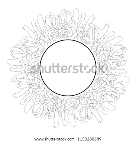 Chrysanthemum Outline, Kiku Japanese Flower Banner Wreath. Vector Illustration.