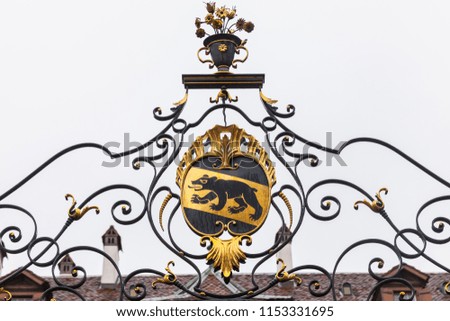 Cast-iron grate with the Bern coat of arms, Switzerland. Front view