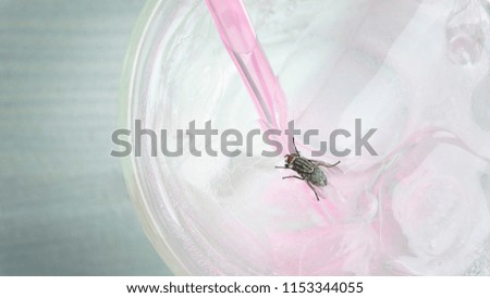Fly in a glass of drinking water at a restaurant.