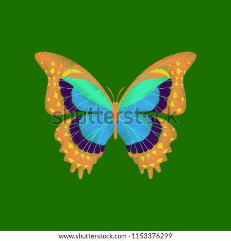 flat shading style icon butterfly