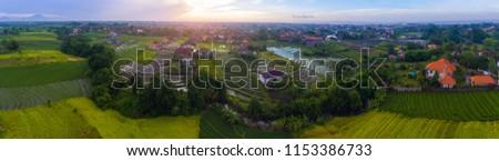 Aerial panorama of the rice fields and houses on the island of Bali, Indonesia