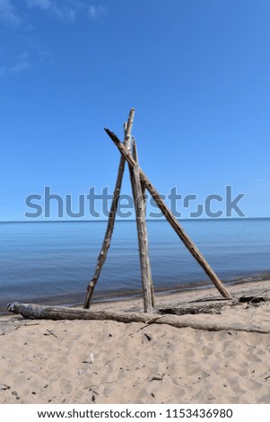 Driftwood sculptures on the shore of Lake Superior