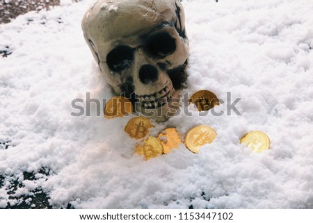 skull and Golden bitcoin coin on the snow.