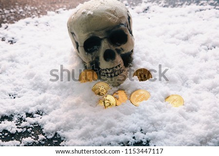 skull and Golden bitcoin coin on the snow.