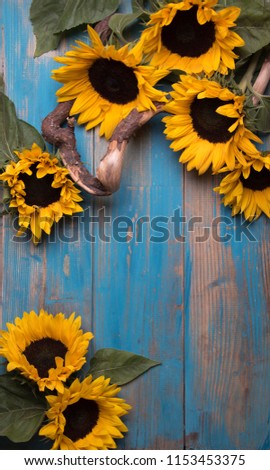 sunflowers and blue vintage background Royalty-Free Stock Photo #1153453375