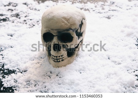 skull on the snow