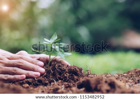 hands holding young plant growing on soil with green background. Earth day, environmental and Ecology concept