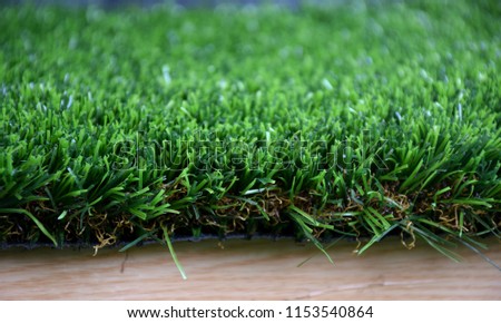 Artificial turf (grass) close-up, gardening, outdoor, home garden design Royalty-Free Stock Photo #1153540864