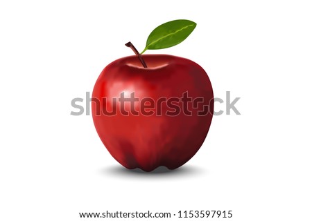 Vector red apple on white background
