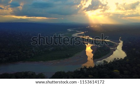 Amazon River in the middle of a lush forest at sunset