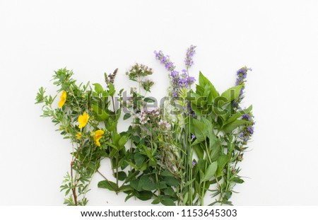 Herbs for tea: mint, lavender, oregano, thyme, noodles. Place for text. Royalty-Free Stock Photo #1153645303